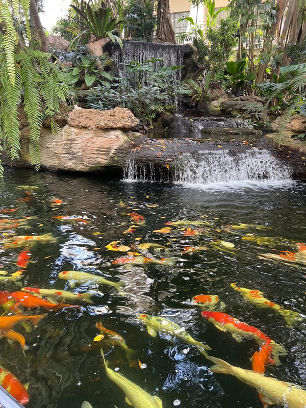 Late-night visitors enjoy Bangkok recreational facility with koi pond