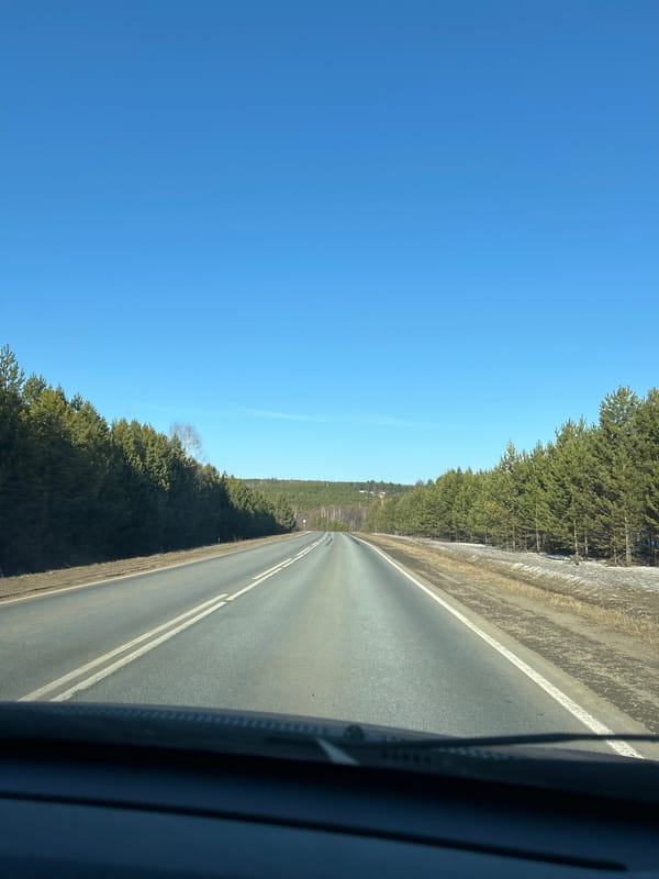 Vehicle drives forest road near Kamennyi Kliuch, Russia