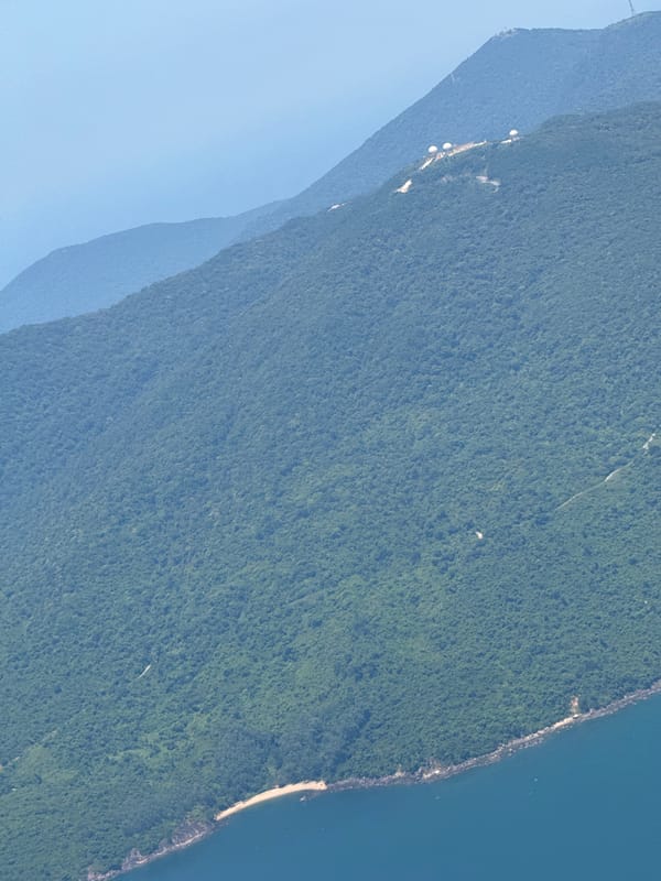 Aerial view shows dense forest meeting coastline near Đà Nẵng