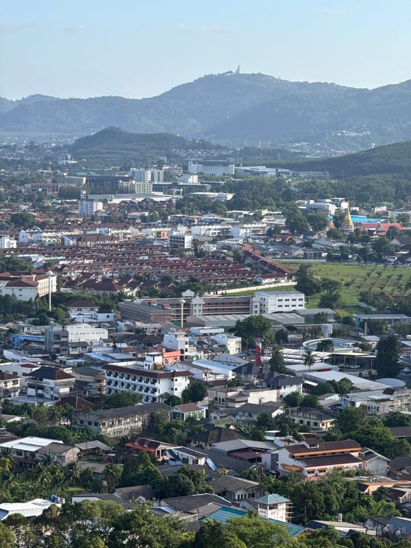 Phuket viewpoint visit with roaming wildlife below