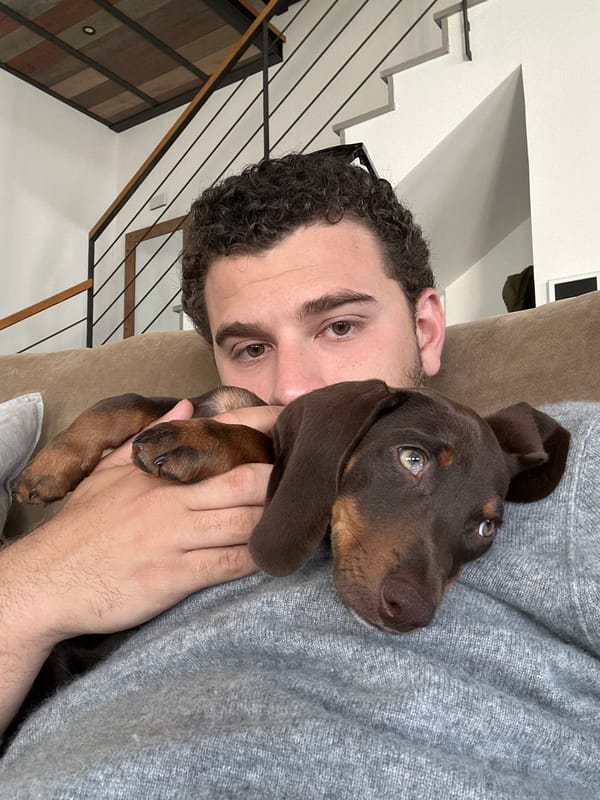 Man holds dachshund puppy in Raanana, Israel