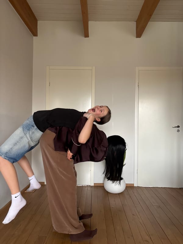 Domestic scenes with small dog captured in Chaikovsky homes