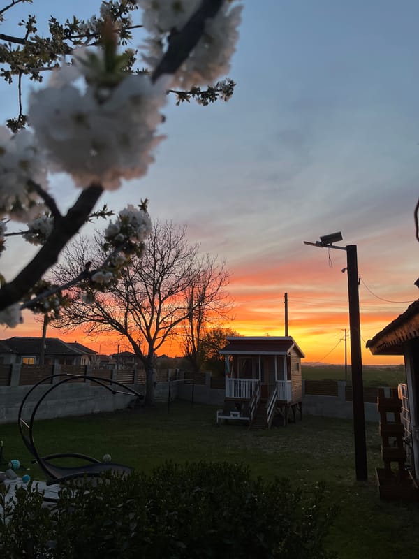 Spring sunset with cherry blossoms captured in Pchelnik, Bulgaria
