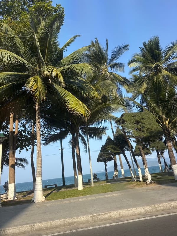 Beach scene and fruit market displays documented by witnesses
