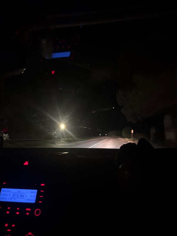 Late-night drive through tree-lined roads in Kolartsi, Bulgaria