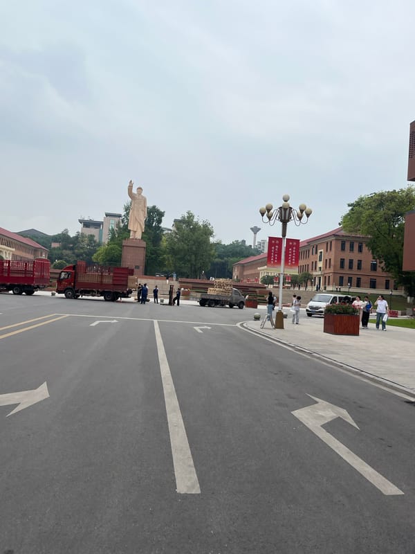 Road with flower planters observed in Yuzhong District