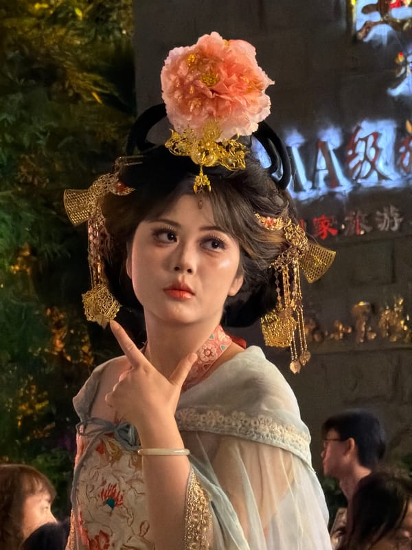 Traditional Chinese cultural displays observed across Chongqing districts