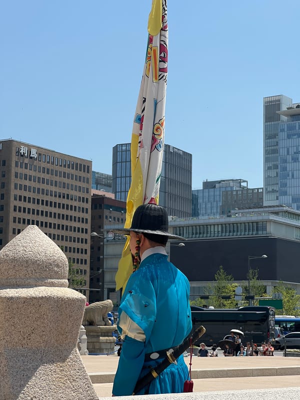 Korean palace guards perform ceremonies amid radioactive warning presence