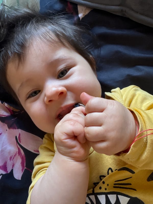 Baby in dinosaur shirt observed resting in Lincoln home