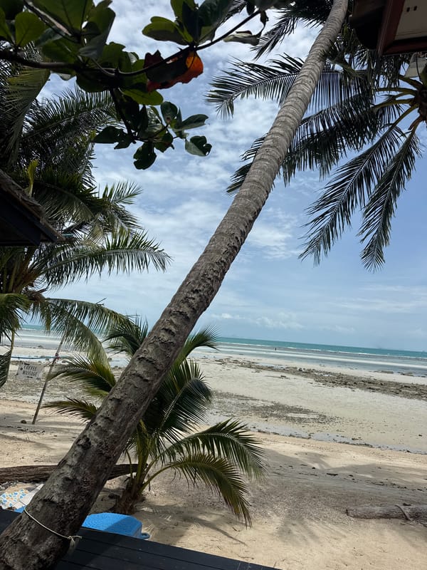 Lazy morning on a palm-lined Ko Samui beach