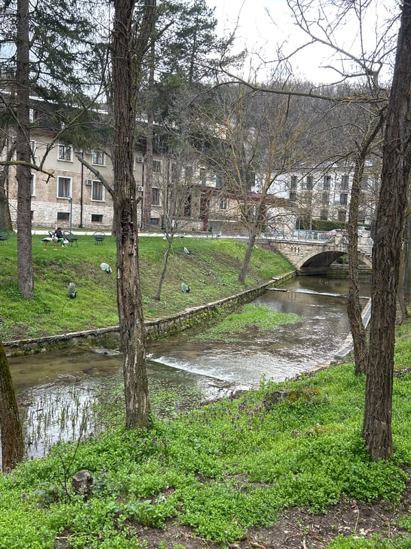 Stone waterway observed flowing through park setting in Pleven