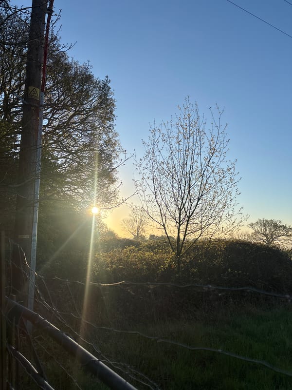 Rural morning scene documented near Welwyn Hatfield utility pole