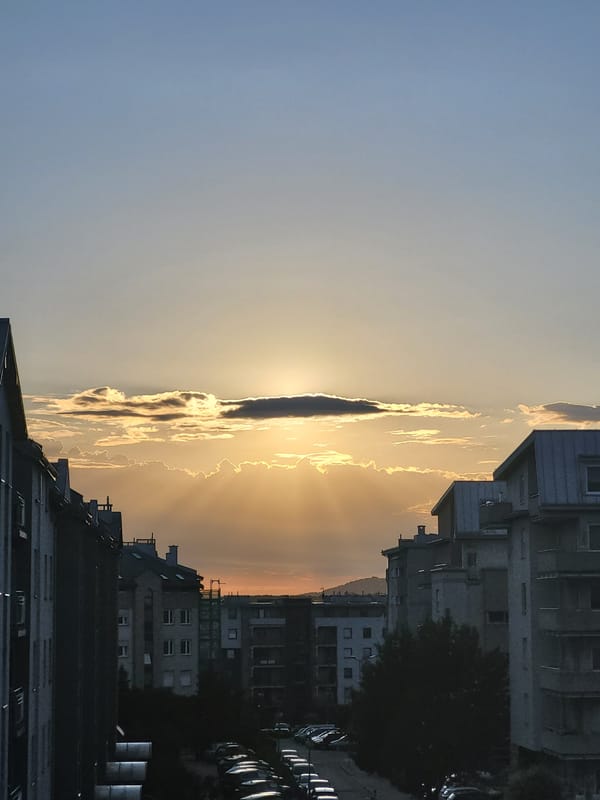 Urban sunset and grey cat portraits captured over 81 minutes