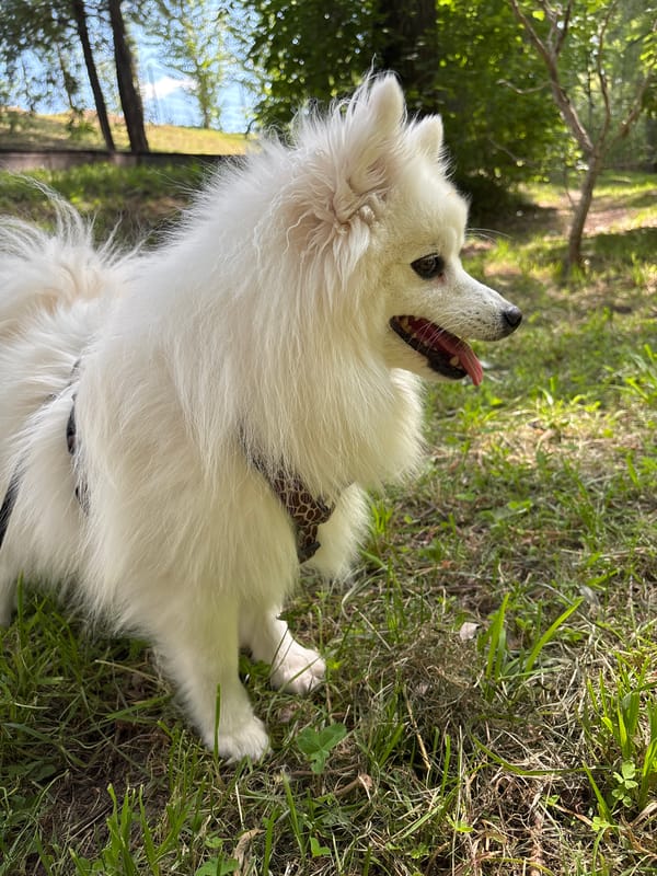 Event