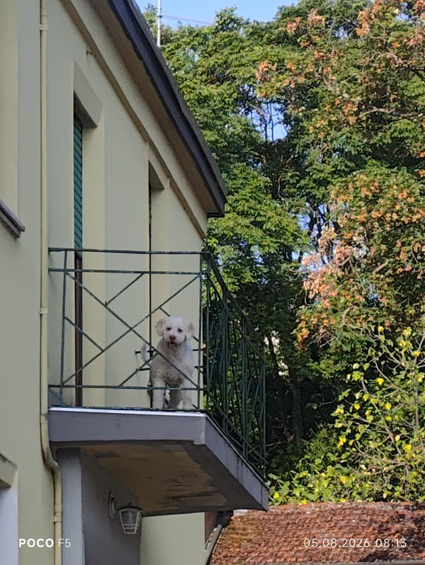 Collecchio, Italy