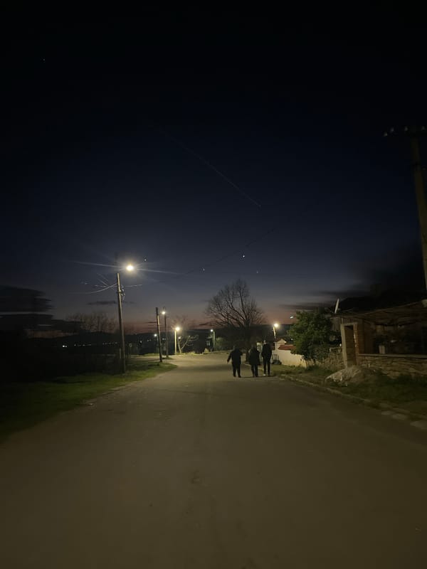 Everyday life documented in Bulgarian village during evening hours