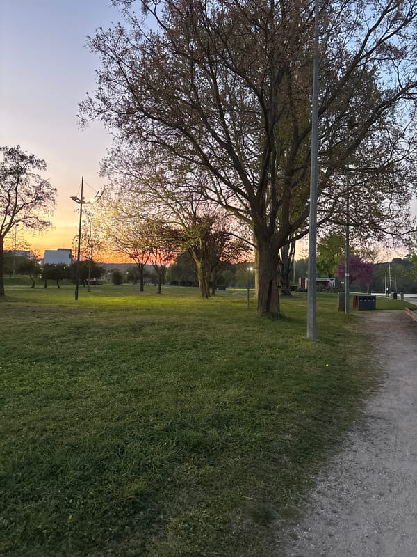 Evening park scenes and BMW sighting captured during sunset