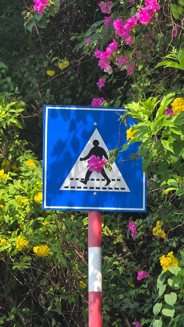Flower-decorated pedestrian sign spotted in Bắc Nha Trang, Vietnam