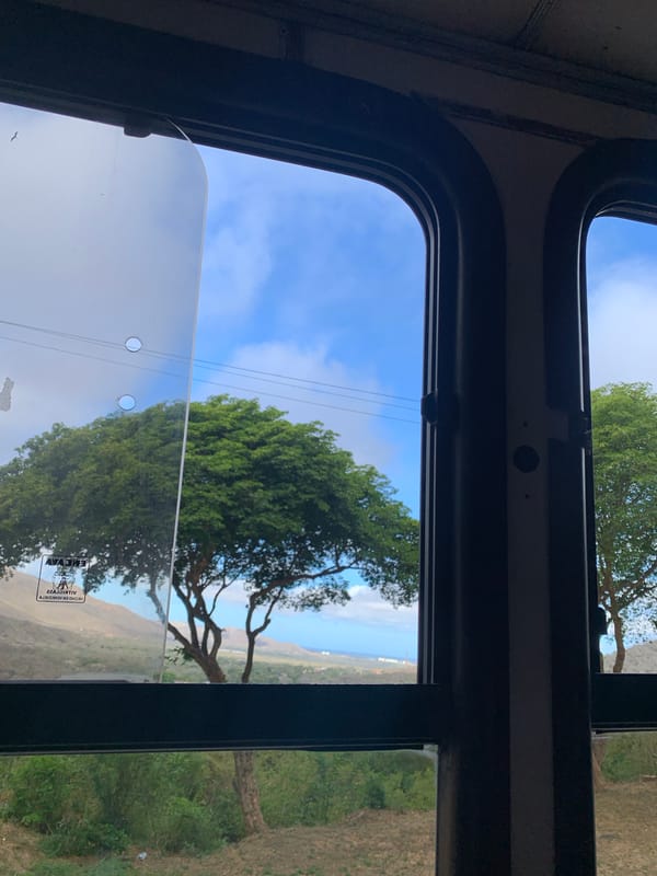 Vehicle passenger observes tree-lined landscape in Tacarigua, Venezuela