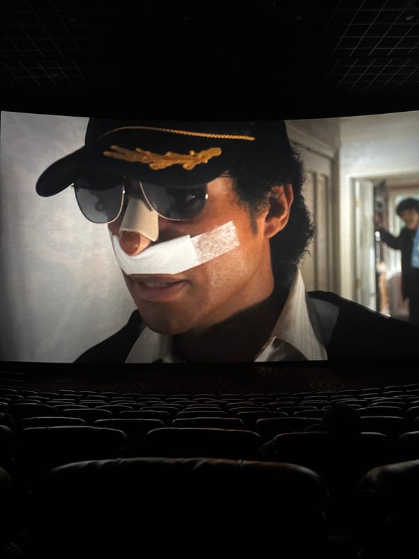 Music biopic screened to sparse audience in Taihe District