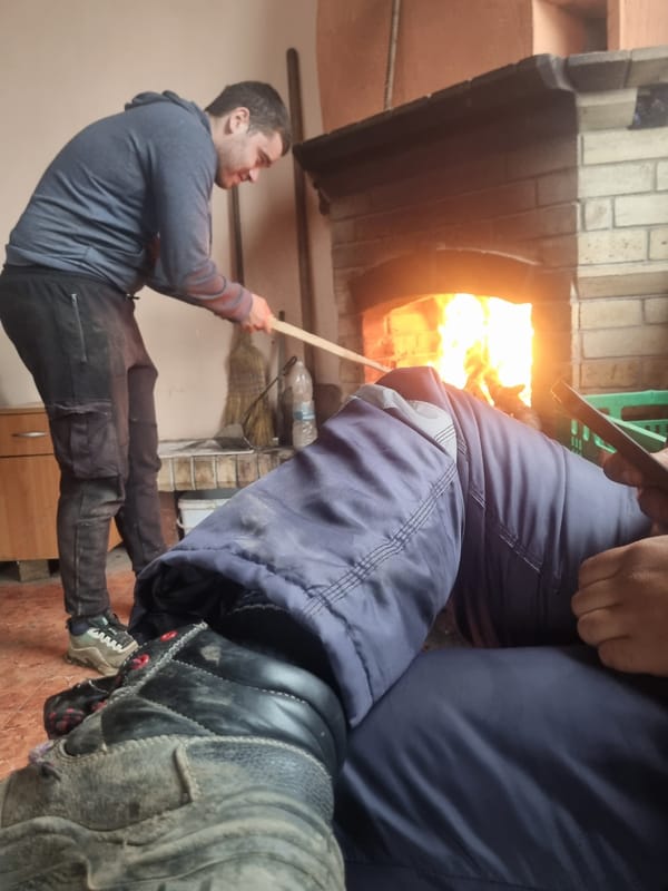 Agricultural activities observed in rural Bulgarian village