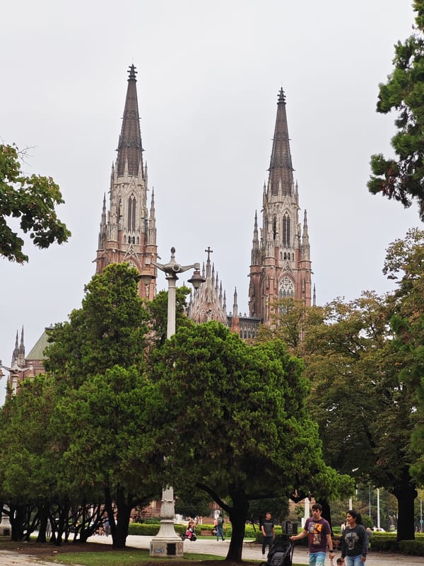 Cathedral of La Plata photographed through park trees
