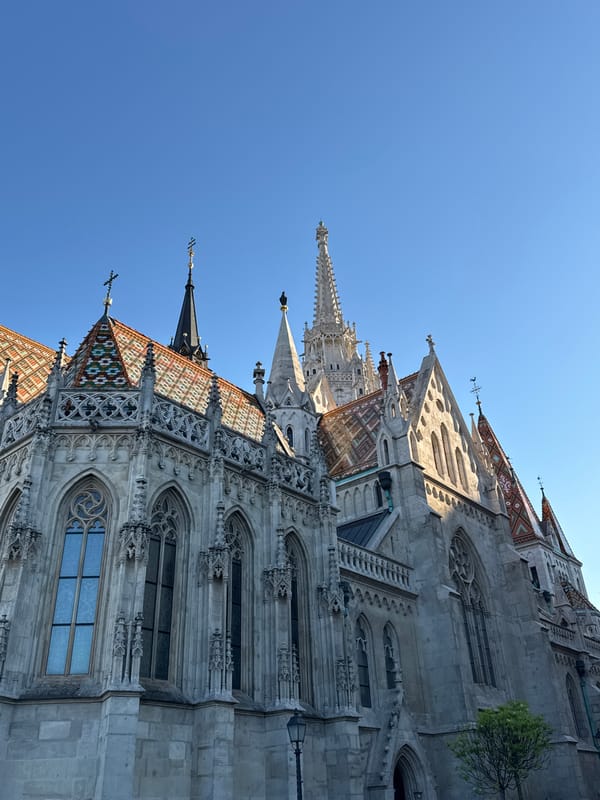Tourist documents Budapest's Castle Hill landmarks during afternoon visit