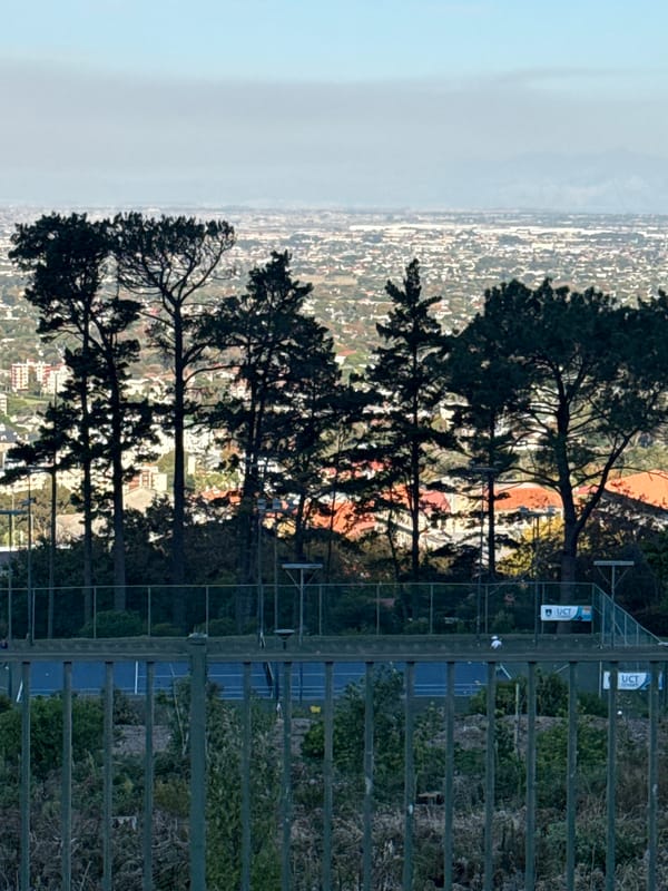 Cape Town landmarks and mountain views documented by witnesses