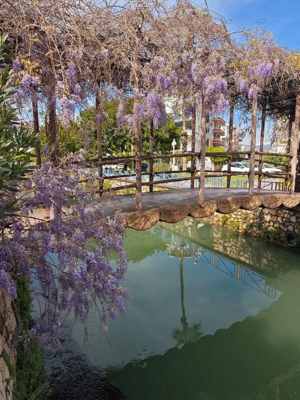 Spring afternoon stroll documented in Finike, Turkey