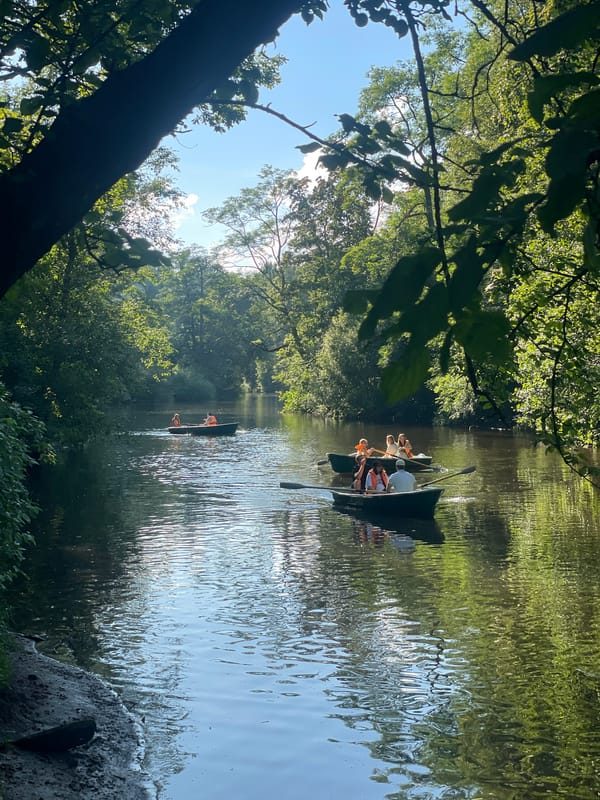 Rowboats, crowds, and street performers on a Saint Petersburg summer afternoon