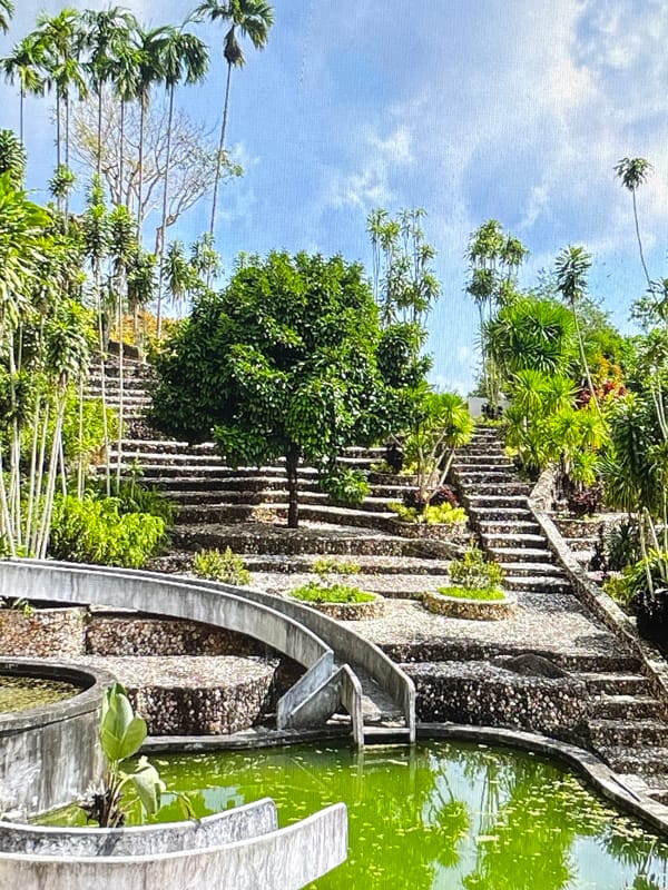 Dogs and water features in a lush garden setting