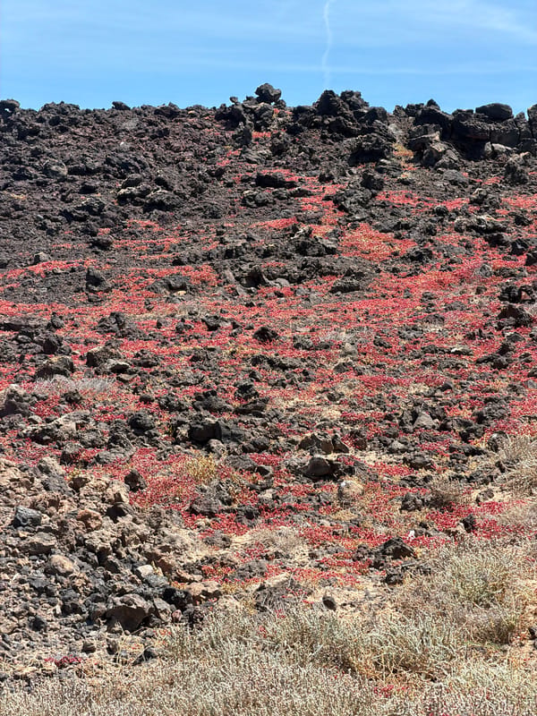Visitor documents volcanic landscape during Tinajo, Spain exploration