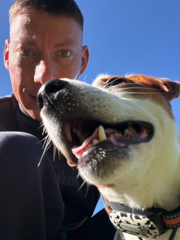 Dog selfie and nature shots in a Moscow woodland on a summer morning