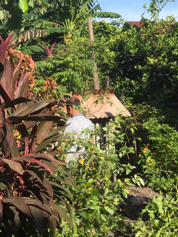 Person tends garden with orchids in Lhokseumawe yard