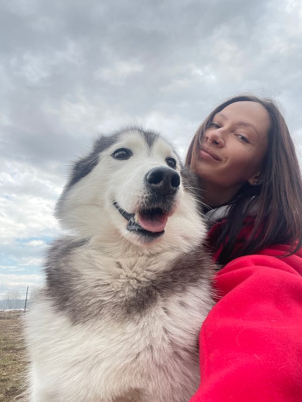 Woman and husky dog share morning photo session in Izhevsk