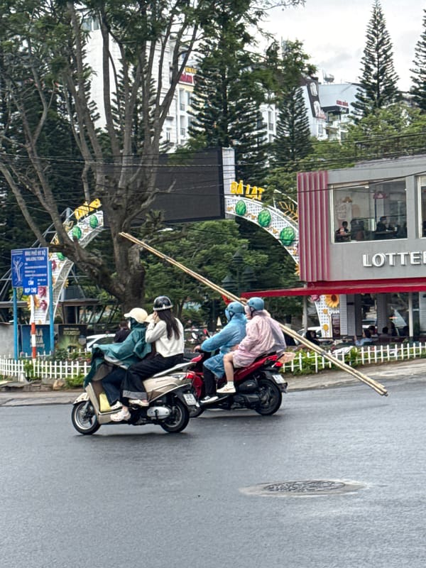 Morning snapshots capture everyday life across Da Lat, Vietnam
