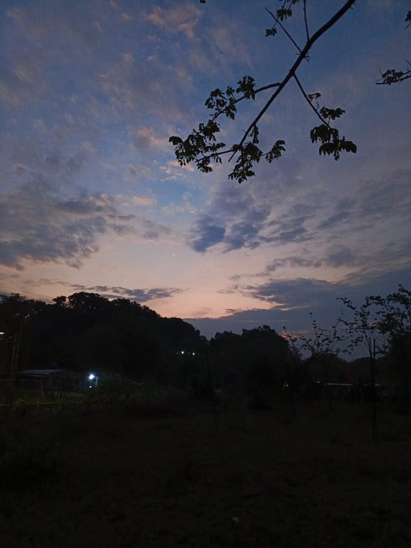 Dusk landscape scene documented in Monagas, Venezuela