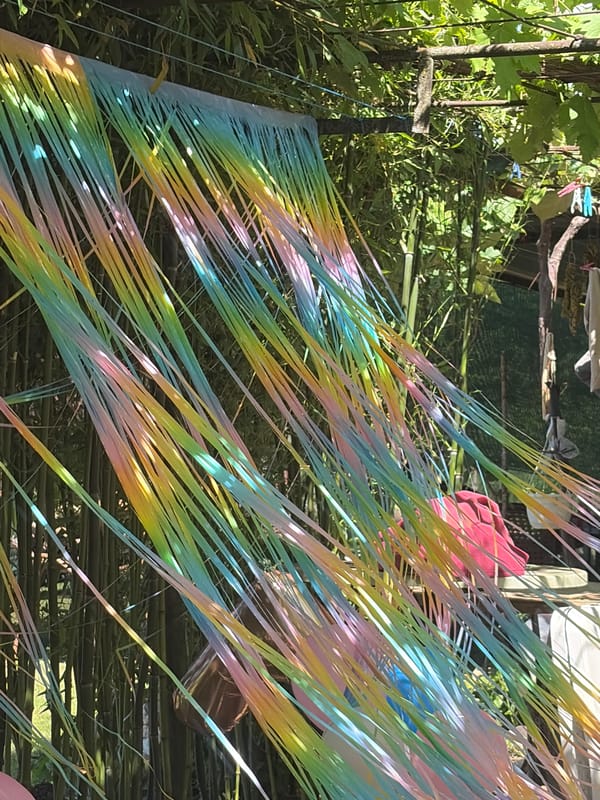Birthday party preparations in Bulgarian village backyard