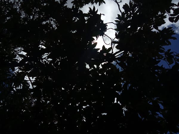 Afternoon sky-gazing and baby shower preparations in Juan Griego