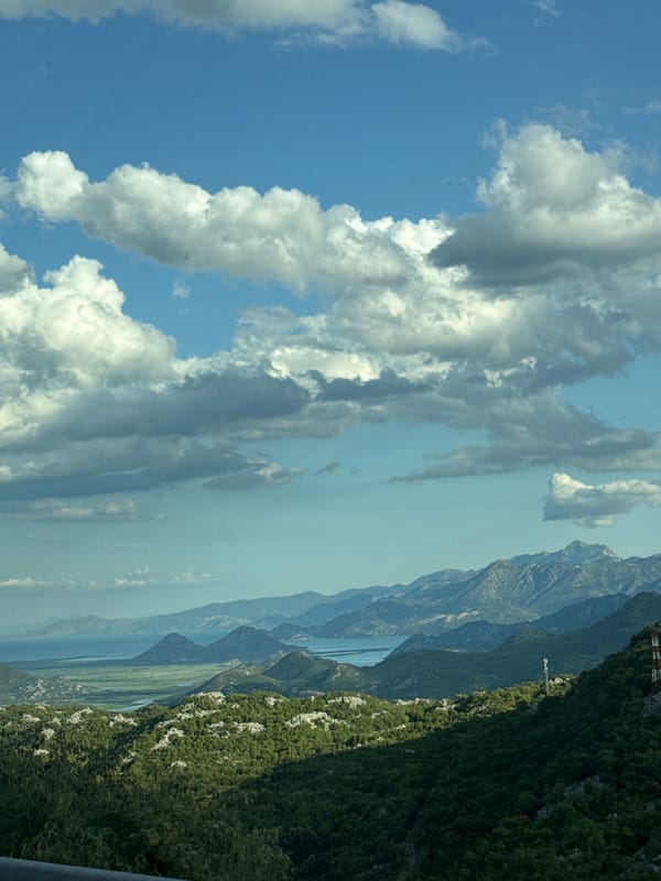 Winding through a lush, dramatic mountain road
