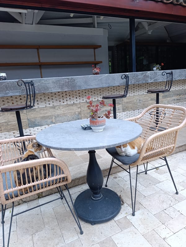 Everyday moments captured in historic Antalya cafes and courtyards