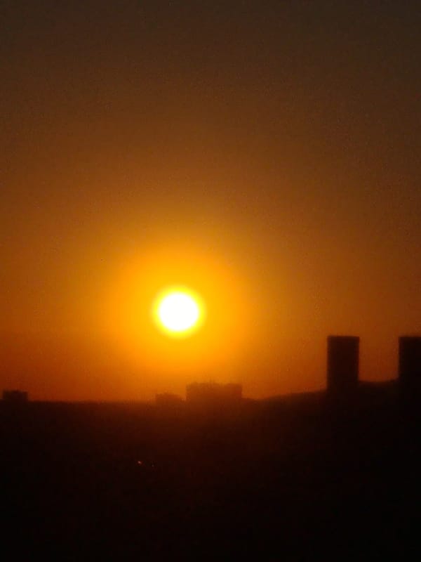 Almaty at golden hour: city skyline, Central Mosque, windowsill birds