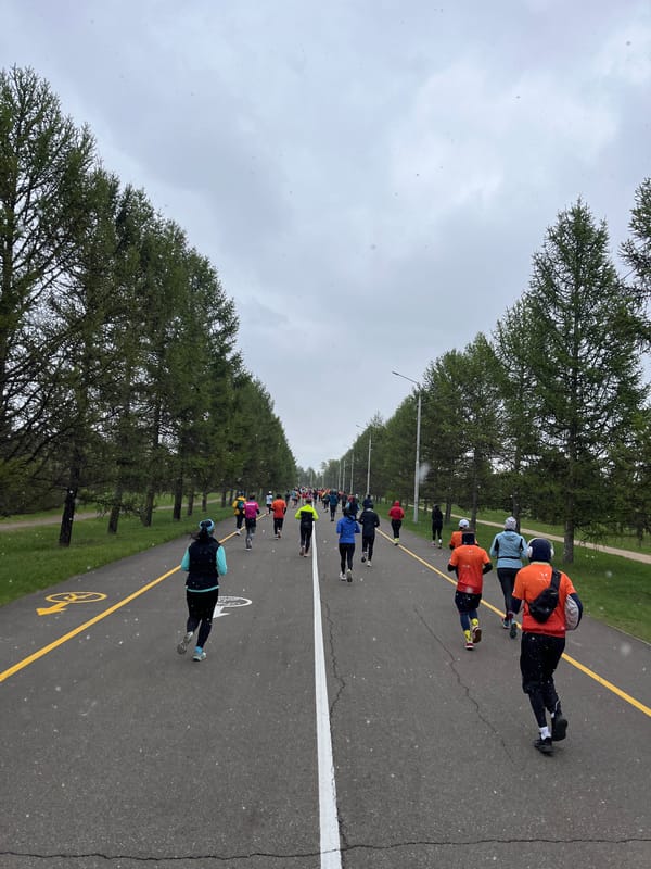 Rollerskiers exercise on marked park path in Krasnoyarsk