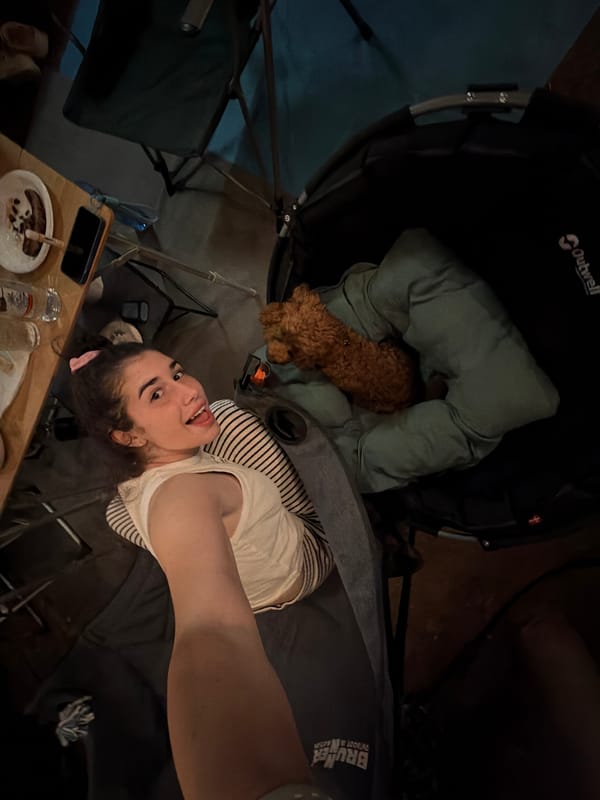 Campsite night in Πόρτες with a very photogenic poodle mix.