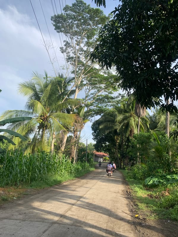 Rural roads and tropical greenery in Kiblawan, Philippines