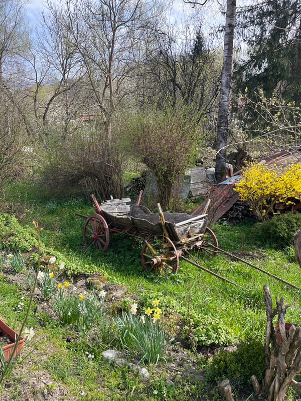 Village life documented in Apriltsi, Bulgaria countryside scenes