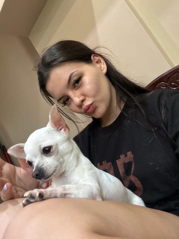 Selfie series with a white chihuahua in Sliven, Bulgaria
