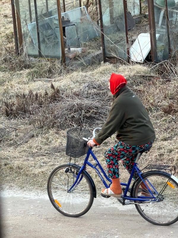 Sunday afternoon snapshots captured across Dreiliņi, Latvia