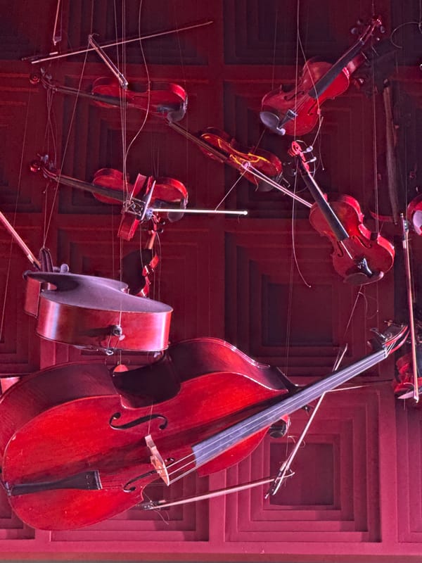 String instruments suspended from ceiling in Agadir, Morocco