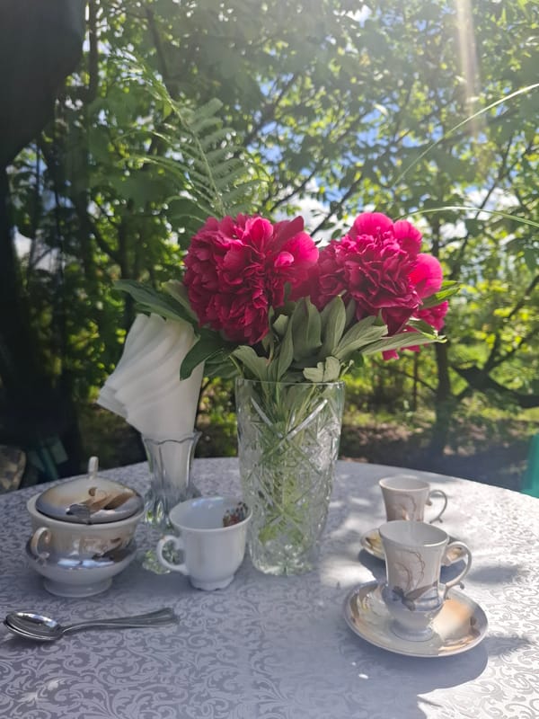 Garden tea time documented in Khlevnoye, Russia